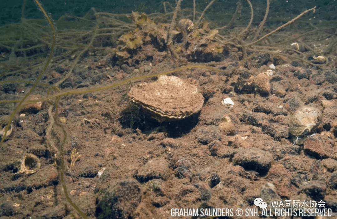 2023-10-31T08:56:28.png 2023-10-31T08:56:28.png