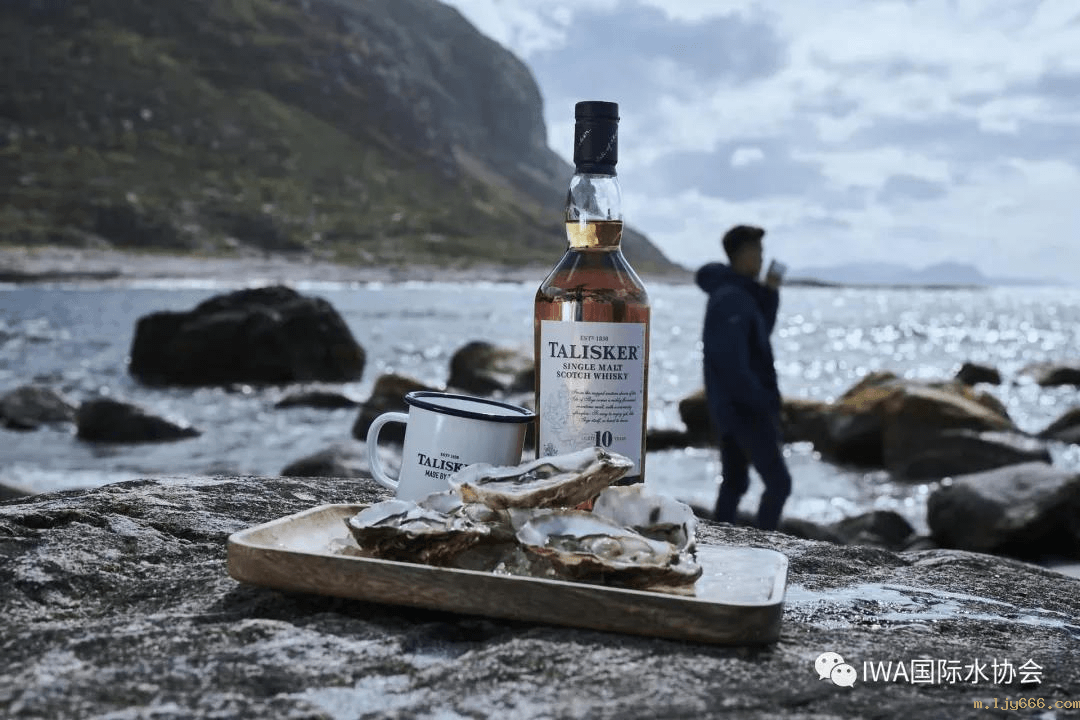 2023-10-31T08:56:36.png 2023-10-31T08:56:36.png