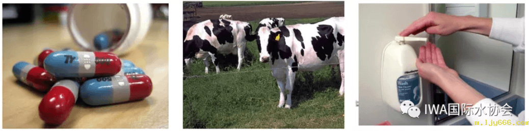 2023-10-31T06:57:09.png 2023-10-31T06:57:09.png