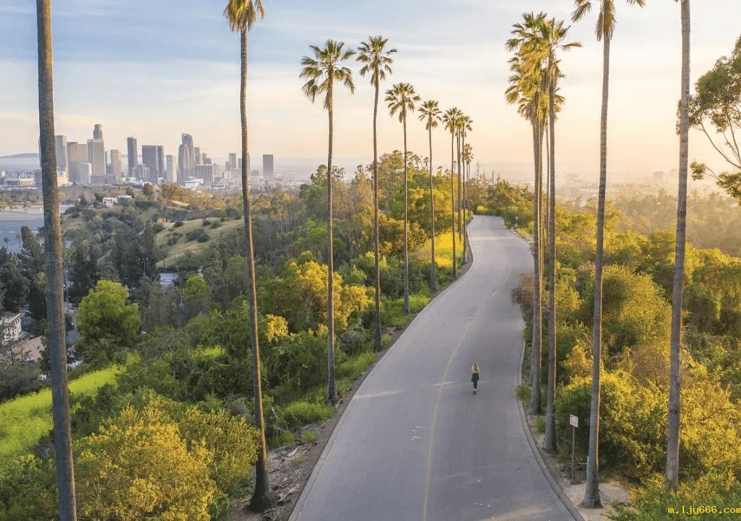 2023-10-31T06:28:22.png 2023-10-31T06:28:22.png