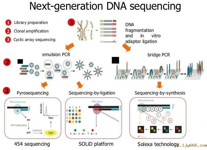 2023-11-01T07:30:17.png 2023-11-01T07:30:17.png