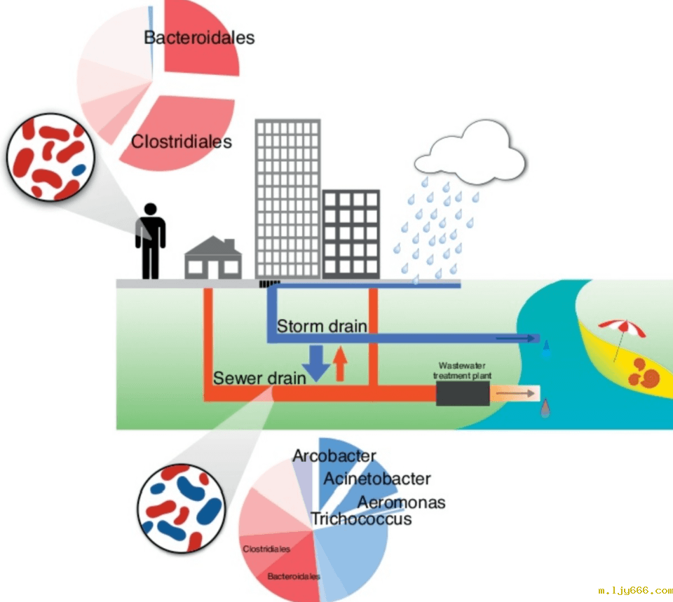 2023-11-01T07:28:47.png 2023-11-01T07:28:47.png