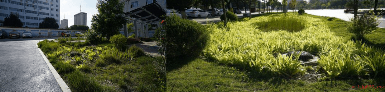 2023-11-01T03:49:44.png 2023-11-01T03:49:44.png