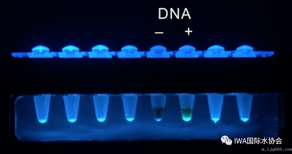 2023-11-01T07:21:33.png 2023-11-01T07:21:33.png